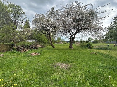 Prodej  zahrady 874 m²