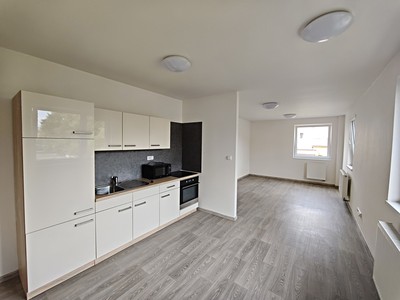 Pronájem bytu 1+kk 40 m²
