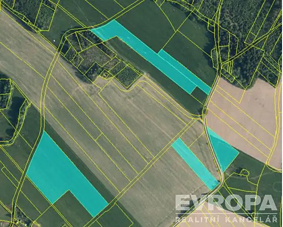 Prodej pole 43076 m², Radčice – náhled fotky 2