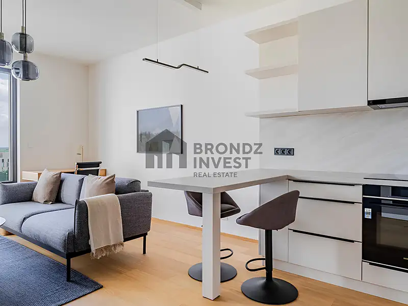 Pronájem bytu 2+kk 55 m², Praha – náhled fotky 3
