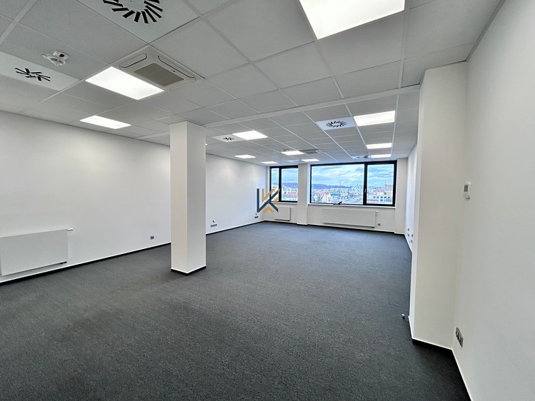 Gewerbefläche zur Miete, 216 m² (9 von 13)