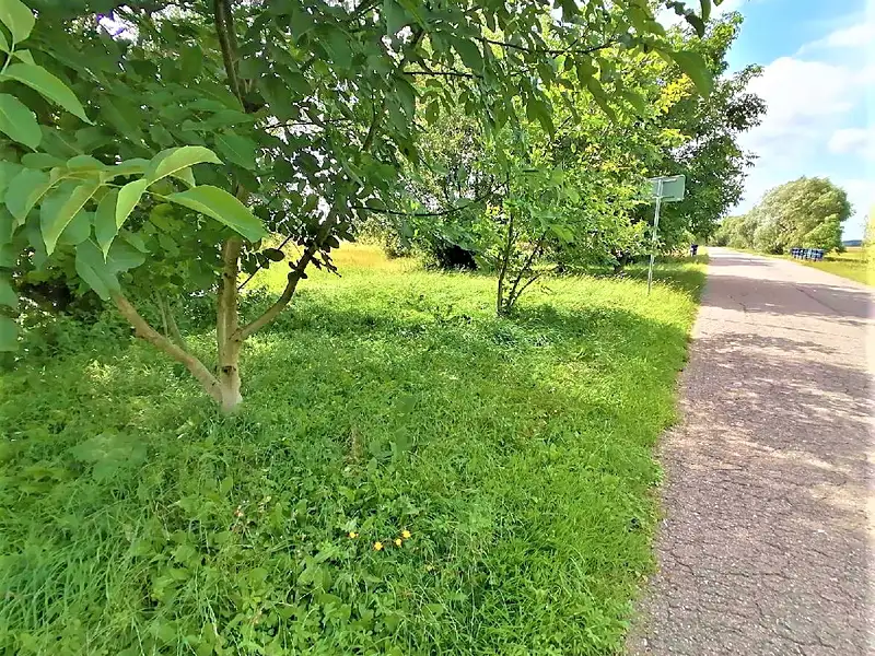 Prodej zahrady 200 m², Třesovice – náhled fotky 1
