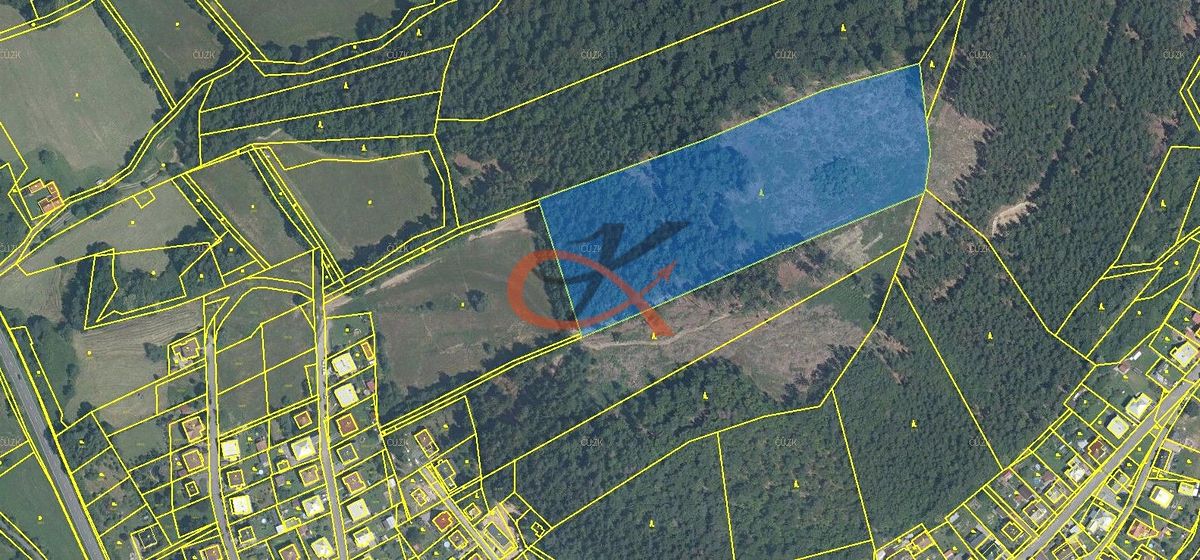 Prodej lesa 29219 m²