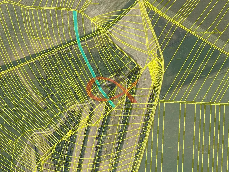 Prodej sadu, vinice 1911 m², Dambořice – náhled fotky 1