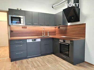 Pronájem bytu 2+kk 56 m²