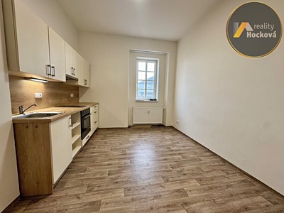 Pronájem bytu 1+1 40 m²