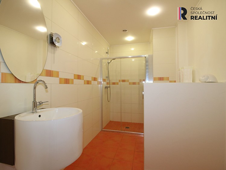 Prodej domu, 705 m² (13 z 24)