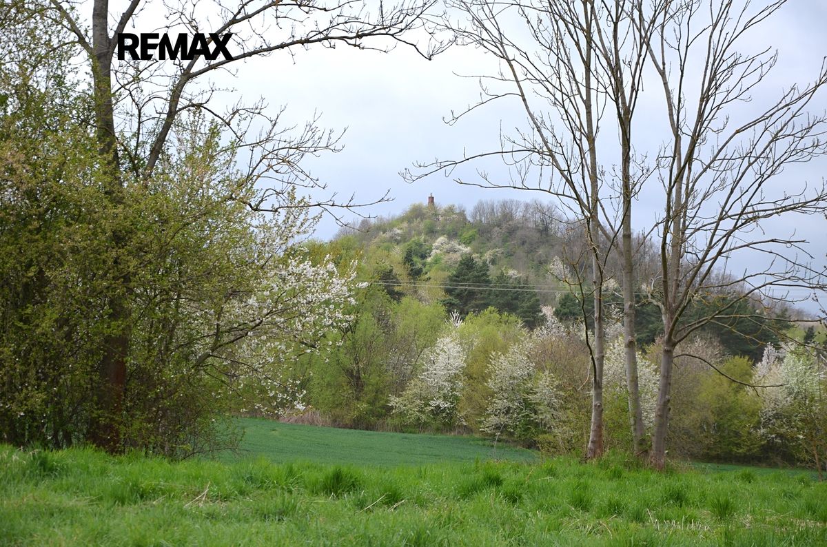 Prodej louky 744 m²