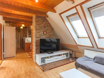 Prodej domu, 325 m² (2 z 20)