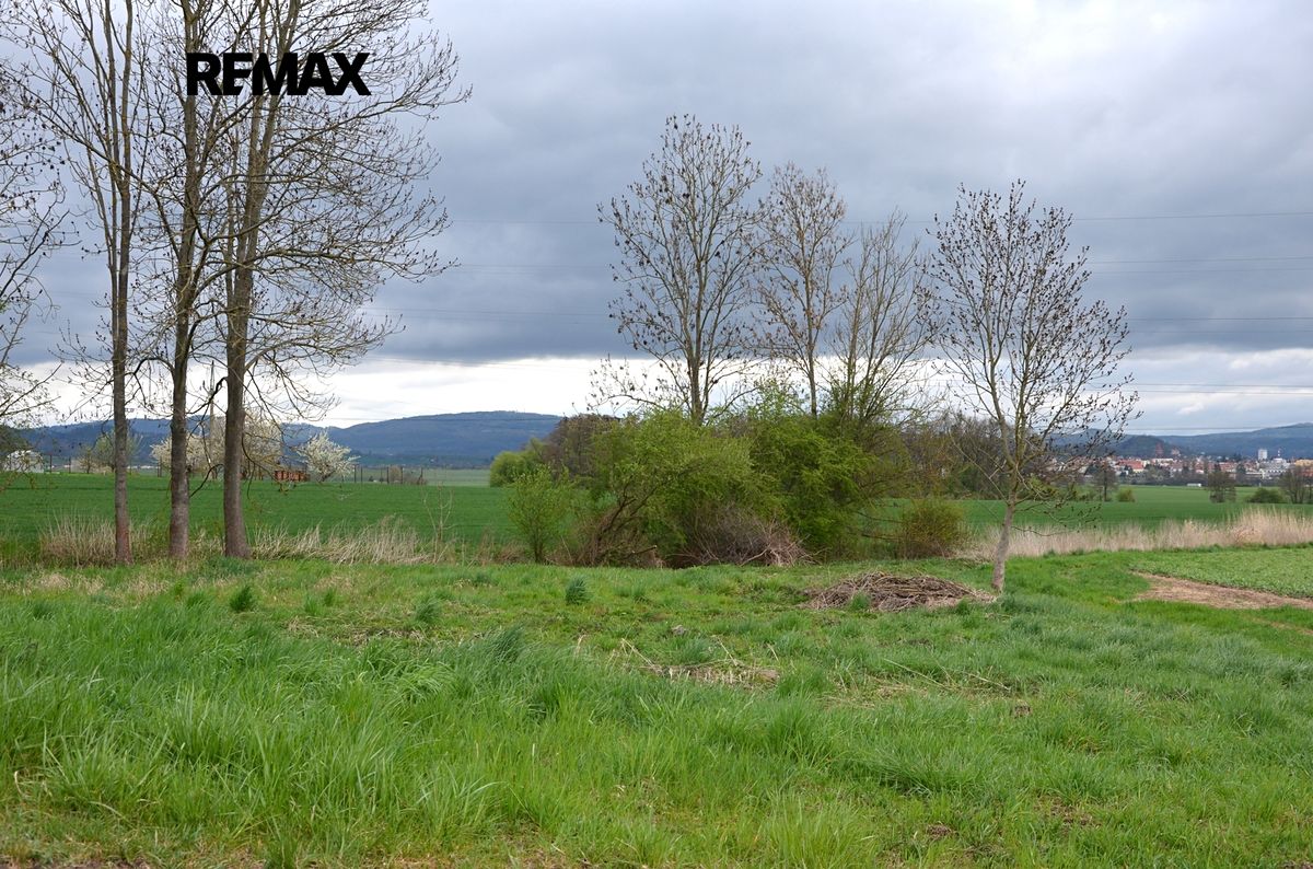 Prodej louky 744 m² – fotografie 3