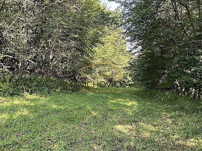 Prodej  sadu, vinice 3 453 m²