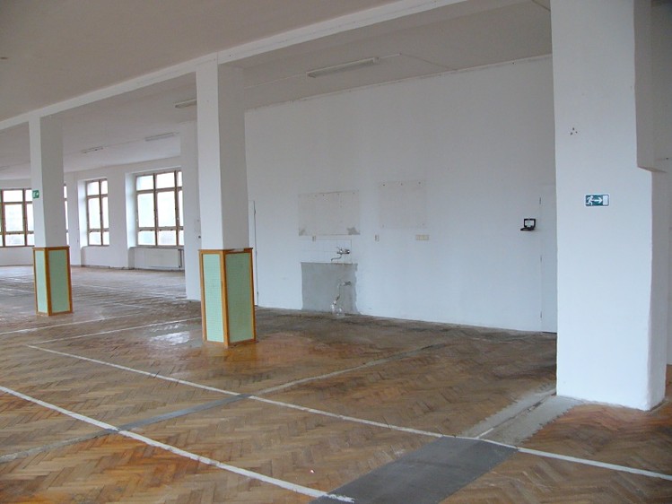 Pronájem komerčního prostoru, 405 m² (3 z 5)