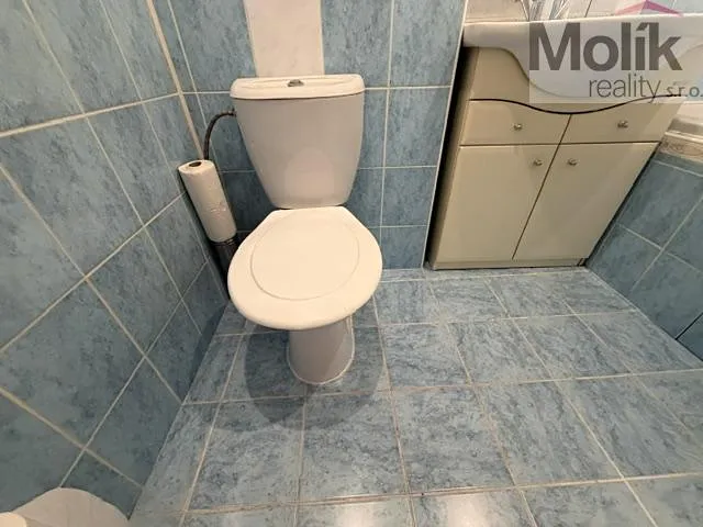 Fotka 9 z 12