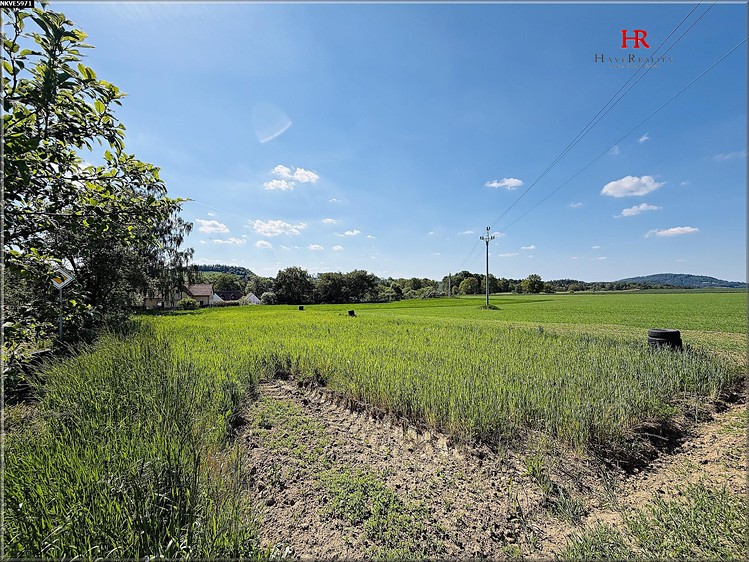 Grundstück zum Kauf, 783 m² (3 von 9)