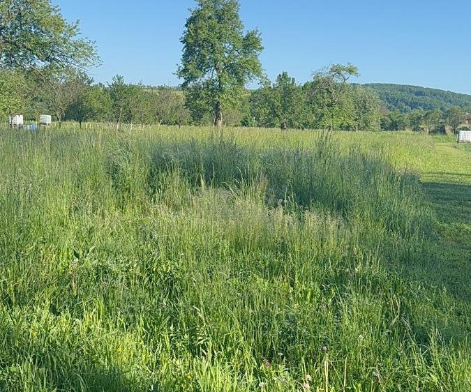 Grundstück zum Kauf, 1.297 m² (7 von 12)
