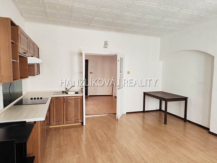 Pronájem bytu 1+1, 40 m² (3 z 13)