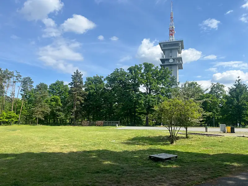 Prodej komerčního pozemku 8772 m², Býšť – náhled fotky 3
