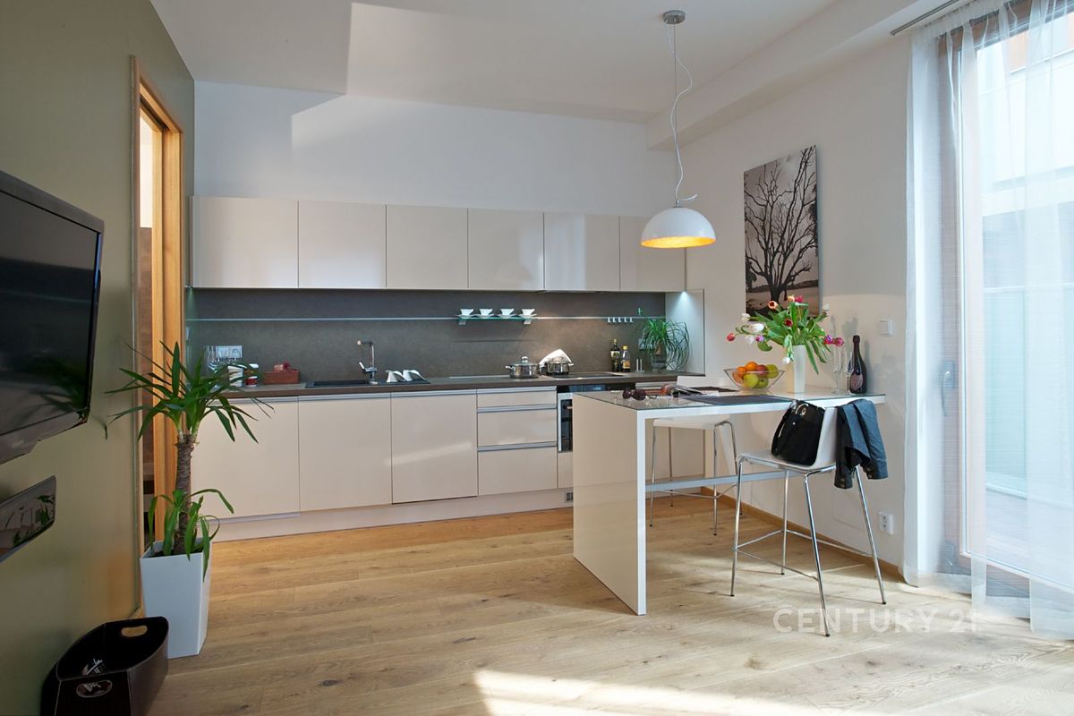 Pronájem bytu 1+kk 54 m²
