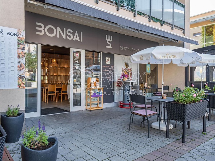 Gewerbefläche zum Kauf, 195 m² (4 von 30)
