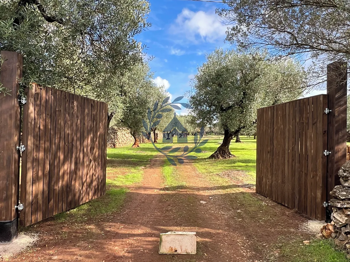 Prodej sadu, vinice 10050 m²
