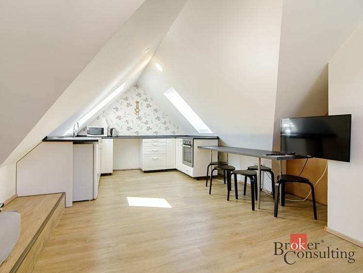 Gewerbefläche zum Kauf, 250 m² (11 von 36)