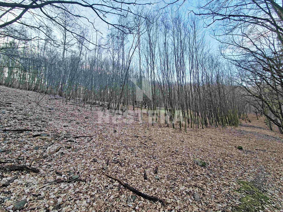 Prodej louky 10301 m²