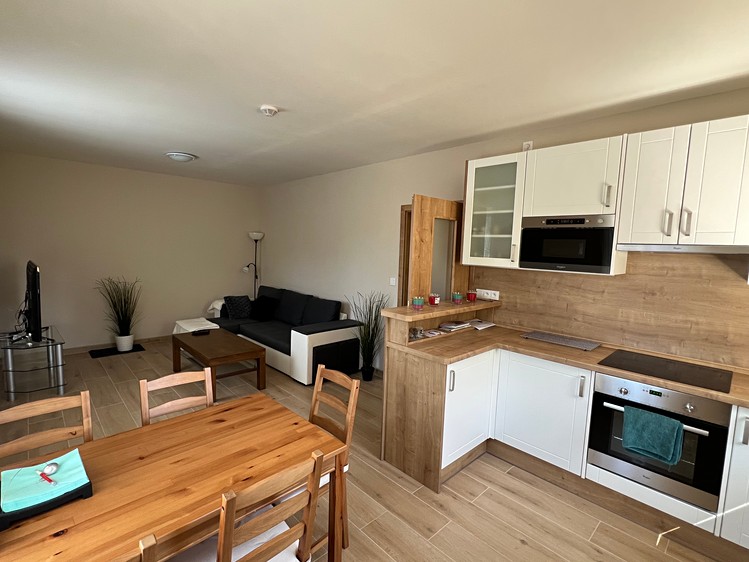 Wohnung 3+kk zur Miete, 55 m² (5 von 21)
