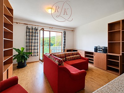Pronájem bytu 1+kk 42 m²