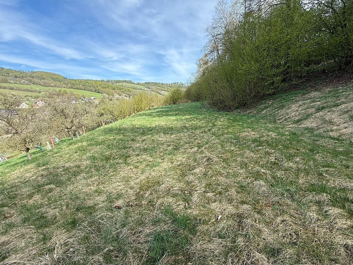 Prodej stavebního pozemku 3553 m² – fotografie 2