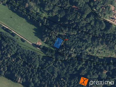 Prodej  lesa 400 m²