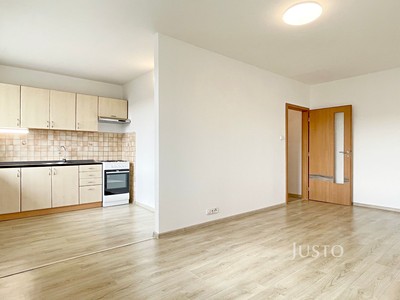 Pronájem bytu 1+1 39 m²