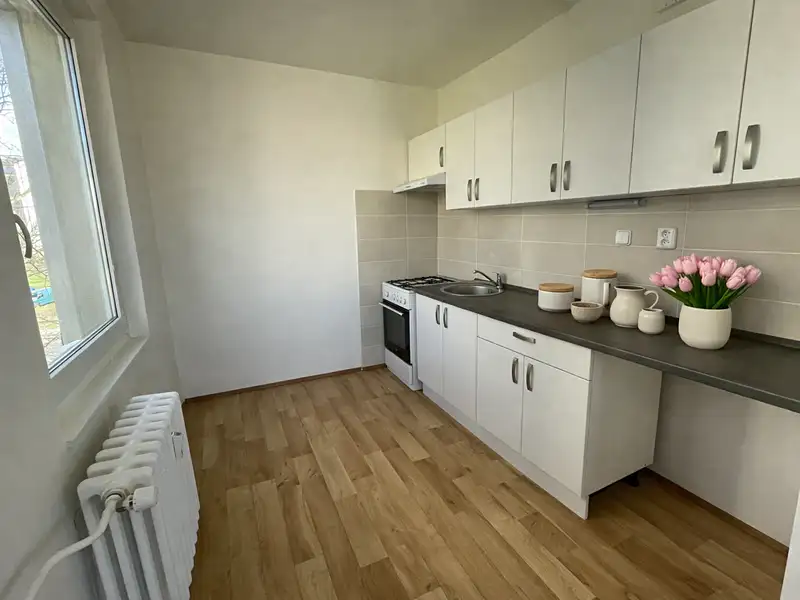 Pronájem bytu 3+1 68 m², Litvínov – náhled fotky 3