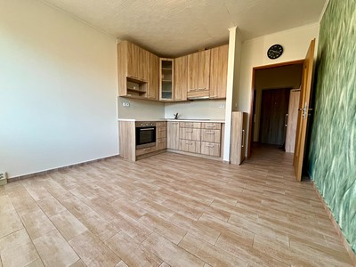 Pronájem bytu 1+1 40 m²