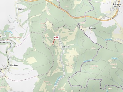 Dražba  lesa 586 m²
