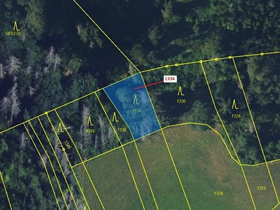 Dražba  lesa 420 m² — photo 2