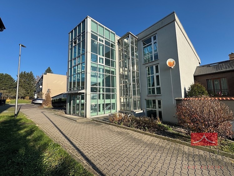 Gewerbefläche zur Miete, 250 m² (18 von 18)