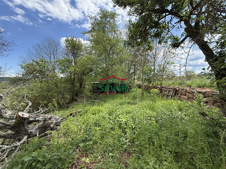 Prodej pozemku, 6 489 m² (9 z 15)