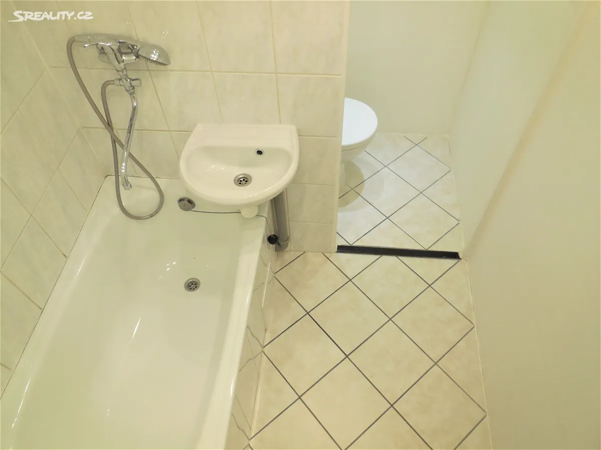 Pronájem bytu 1+kk 35 m² – další
