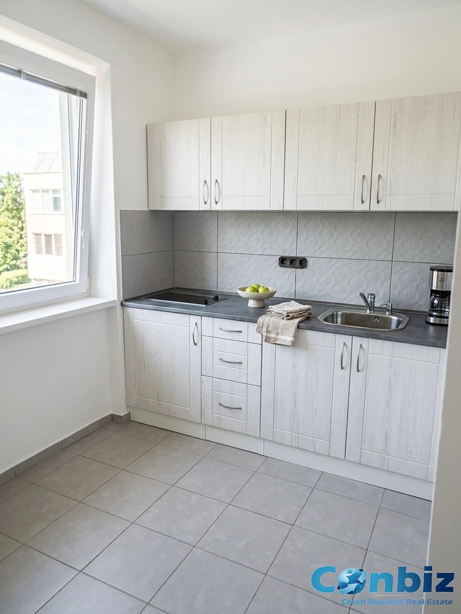 Pronájem bytu 1+1 33 m²