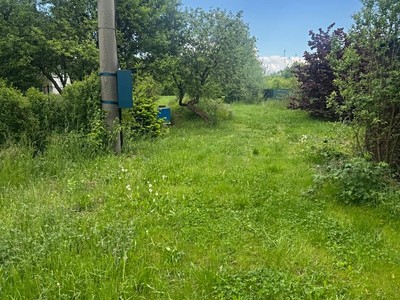 Prodej  zahrady 1 300 m² — photo 3