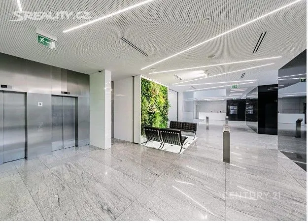 Pronájem kanceláře 450 m², Praha