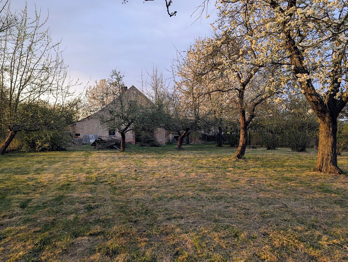 Prodej stavebního pozemku 1097 m² – fotografie 3