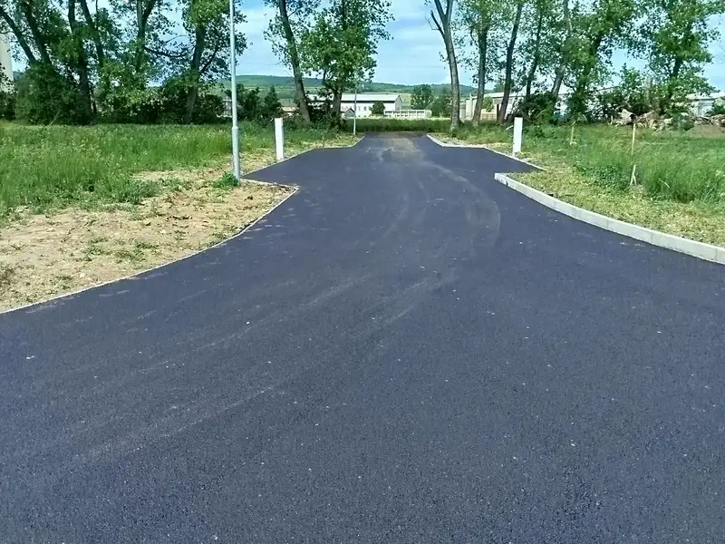Prodej stavebního pozemku 1001 m², Polepy – náhled fotky 1
