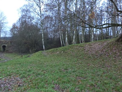 Dražba  louky 1 017 m² — photo 3