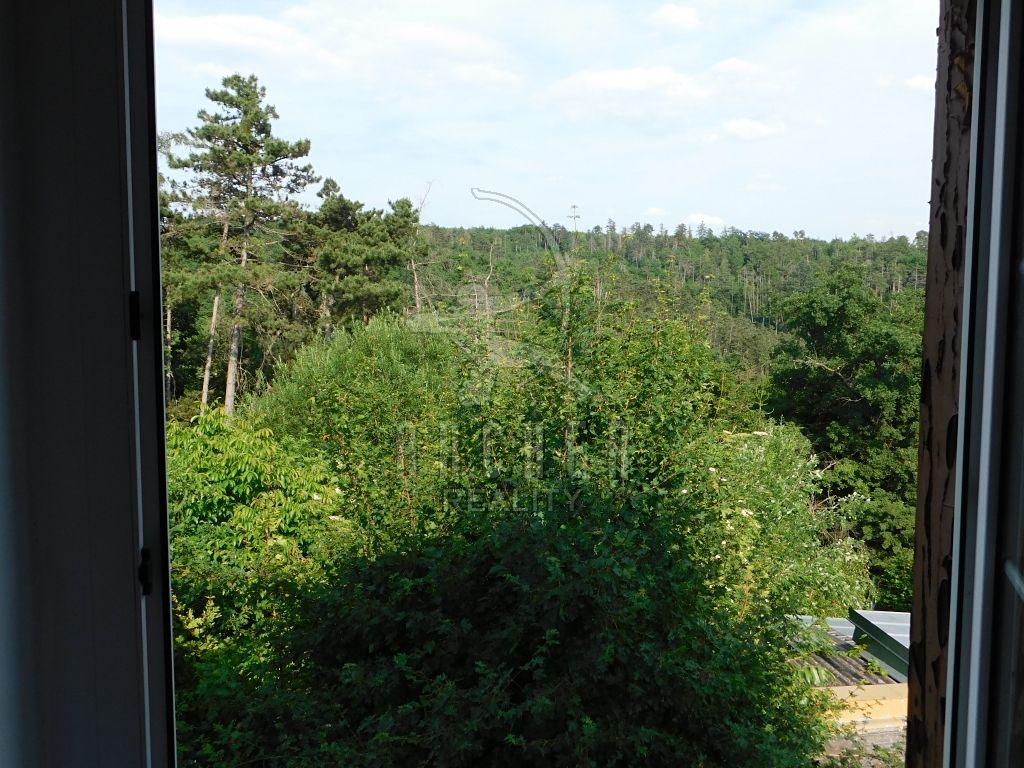 Prodej rodinného domu 291 m², pozemek 1199 m² – fotografie 2