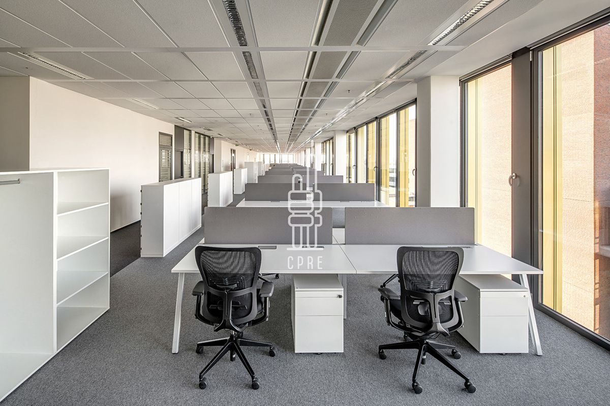 Pronájem kanceláře 564 m² – fotografie 4
