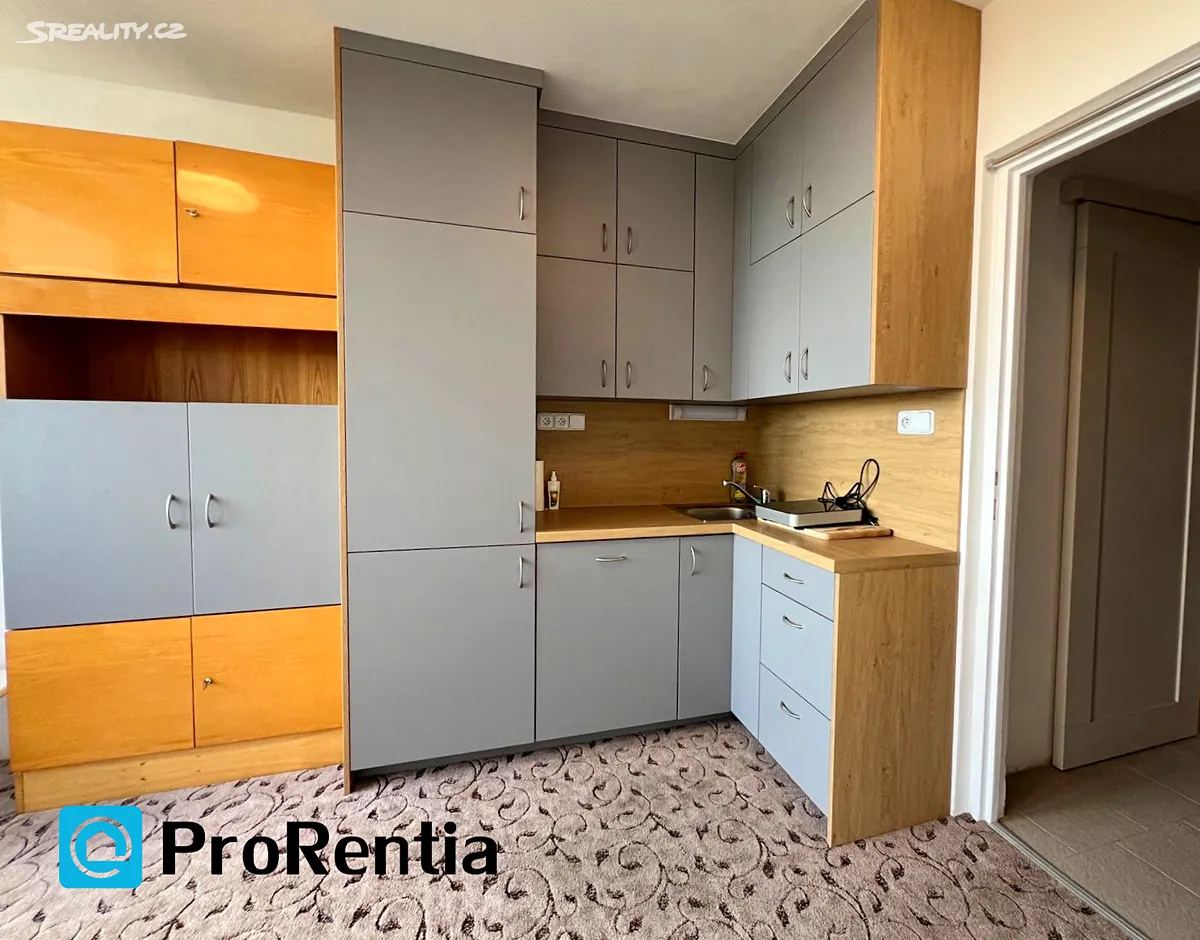Pronájem bytu 1+kk 22 m² - Widok 6