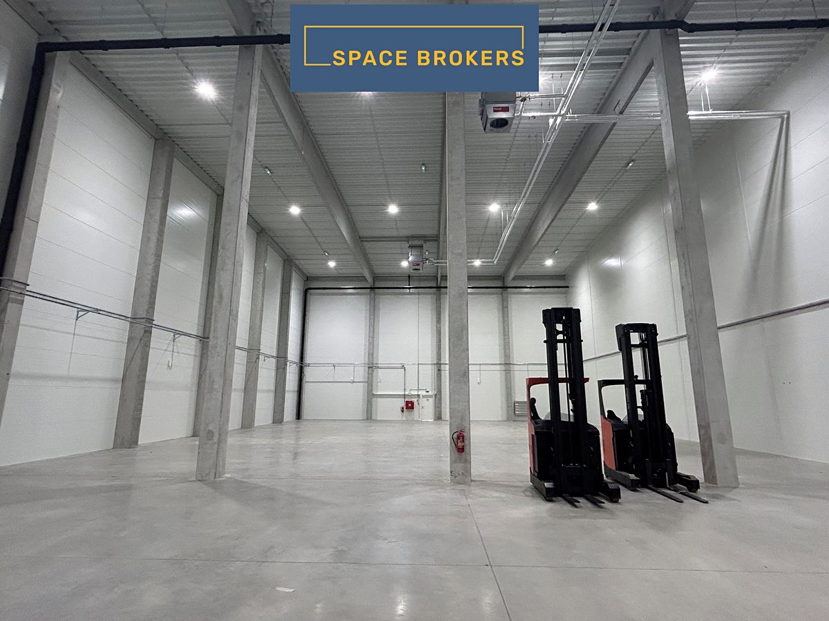 Pronájem skladového prostoru 990 m² – fotografie 2