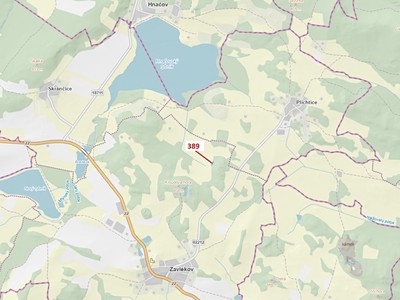 Dražba  lesa 332 m²