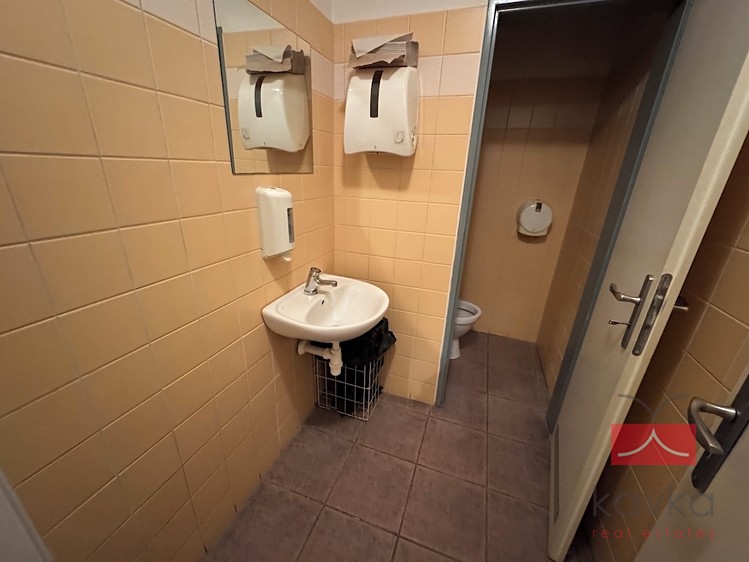 Gewerbefläche zur Miete, 250 m² (11 von 15)